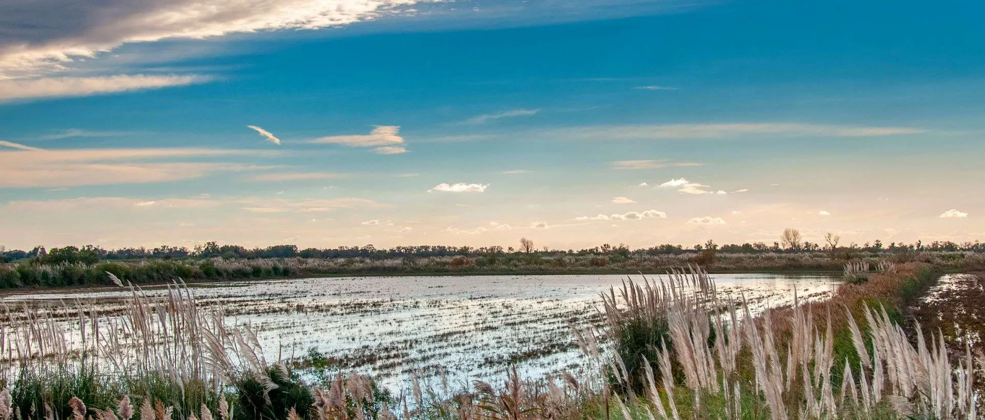 cover-port-camargue