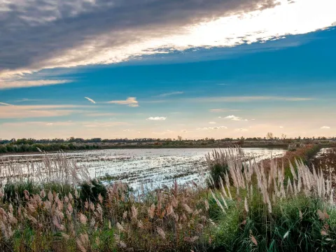 cover-port-camargue