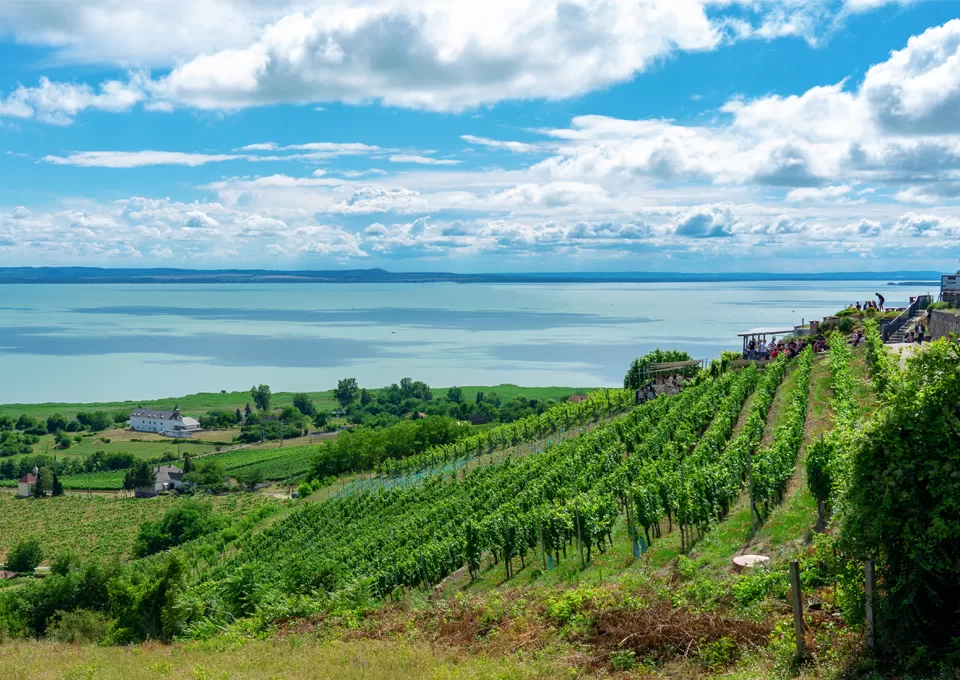 lac-balaton-right-image-960x680-1