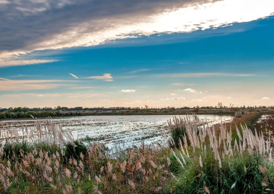 cover-port-camargue